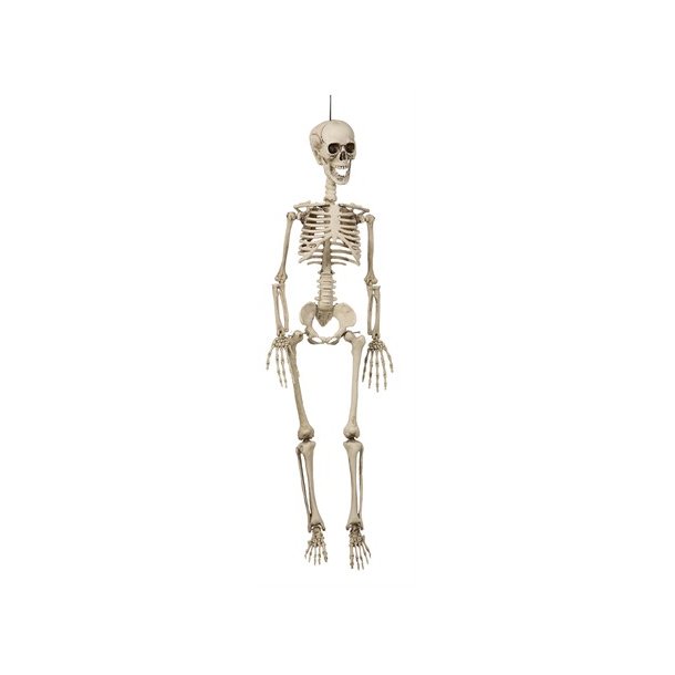 Hngende skelet 90 cm
